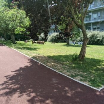 PXL_20250613_133743454.MP