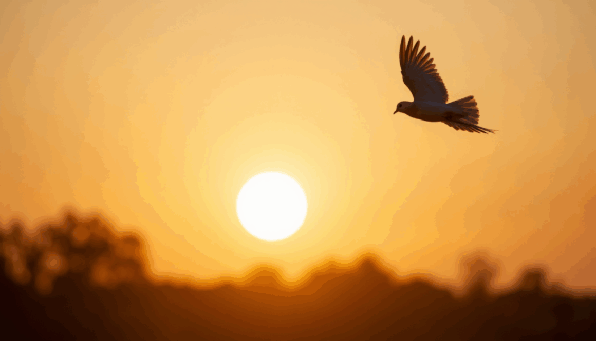 DOVE