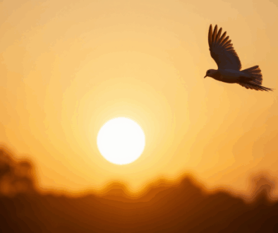 DOVE